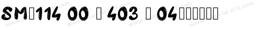 SM-114 00 - 403 - 04字体转换